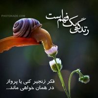 مهارت های زندگی